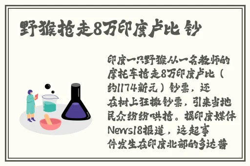 洗衣屋2樱花未增删带翻译樱花
